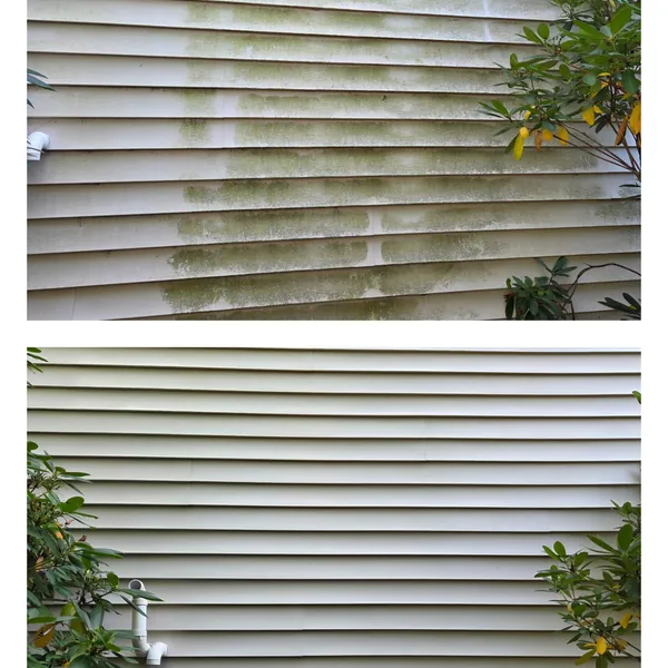 Before and after soft washing of algae-covered vinyl siding around an exterior vent