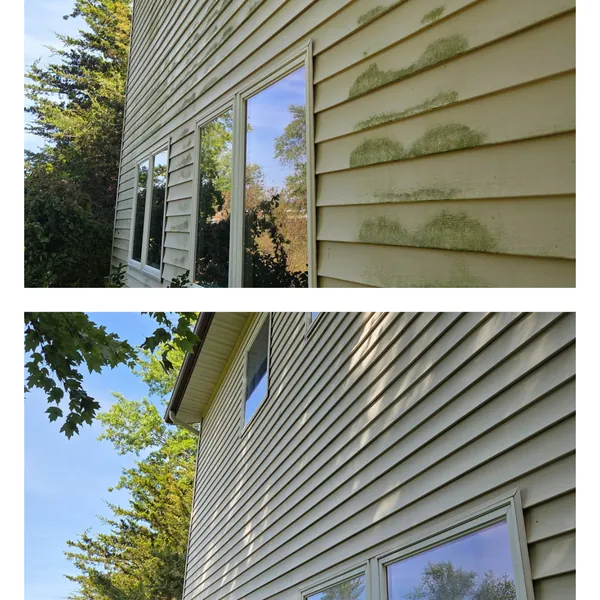 Before and after soft washing of green algae patches on vinyl siding beside the windows